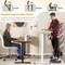 45.5 Inch Electric Height Adjustable Standing Desk with 2-Button Controller and Metal Frame